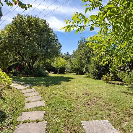 Casa S Martinho Oliveira de Azeméis