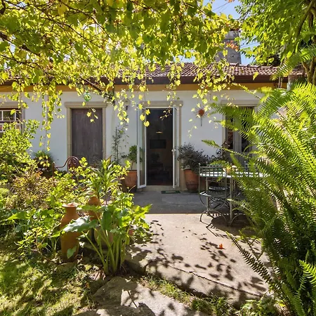 Casa S Martinho * Oliveira de Azemeis