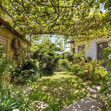 Casa S Martinho Tatil Evi