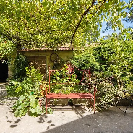 Casa S Martinho بيت للعطل أوليفيرا دي ازميس