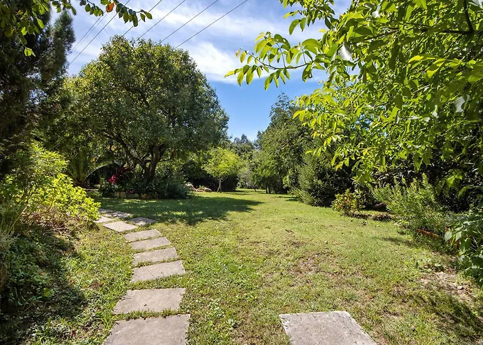 Casa S Martinho Oliveira de Azeméis