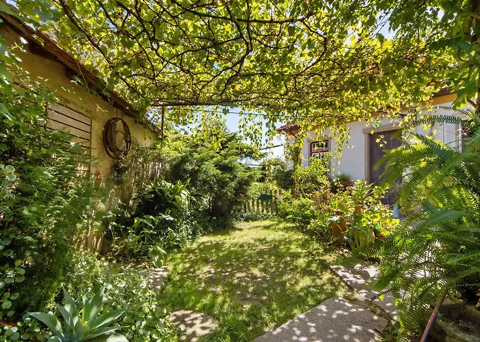 Tatil Evi Casa S Martinho